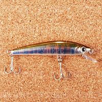 TD Minnow 1061 SP / A-1 (5221)